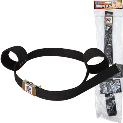 術NIN 腰腕拘束帯