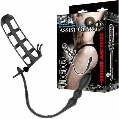 PAアシストギア (プラグ)