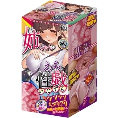 姉ちゃんのえっちな性戯