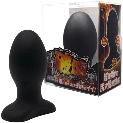 アナル破壊 (中)